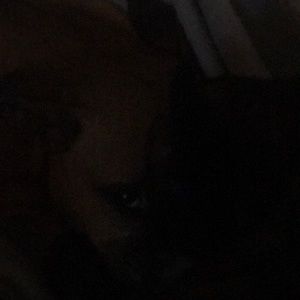 Meet your Posher, Barry